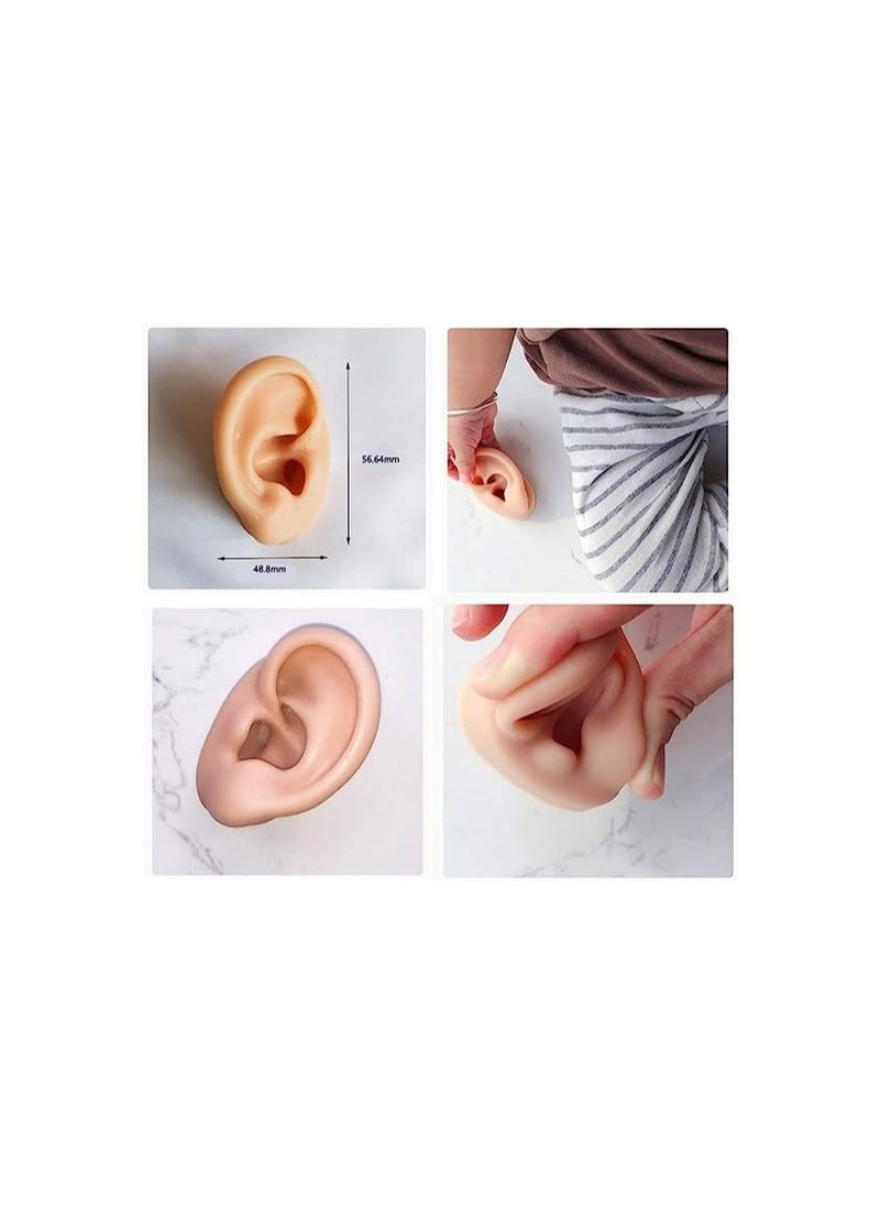 Simulation Ear Model - Soft Silicone Ear Model for Acupuncture - Silicone Artificial Ear Model for Ear Picking Practice