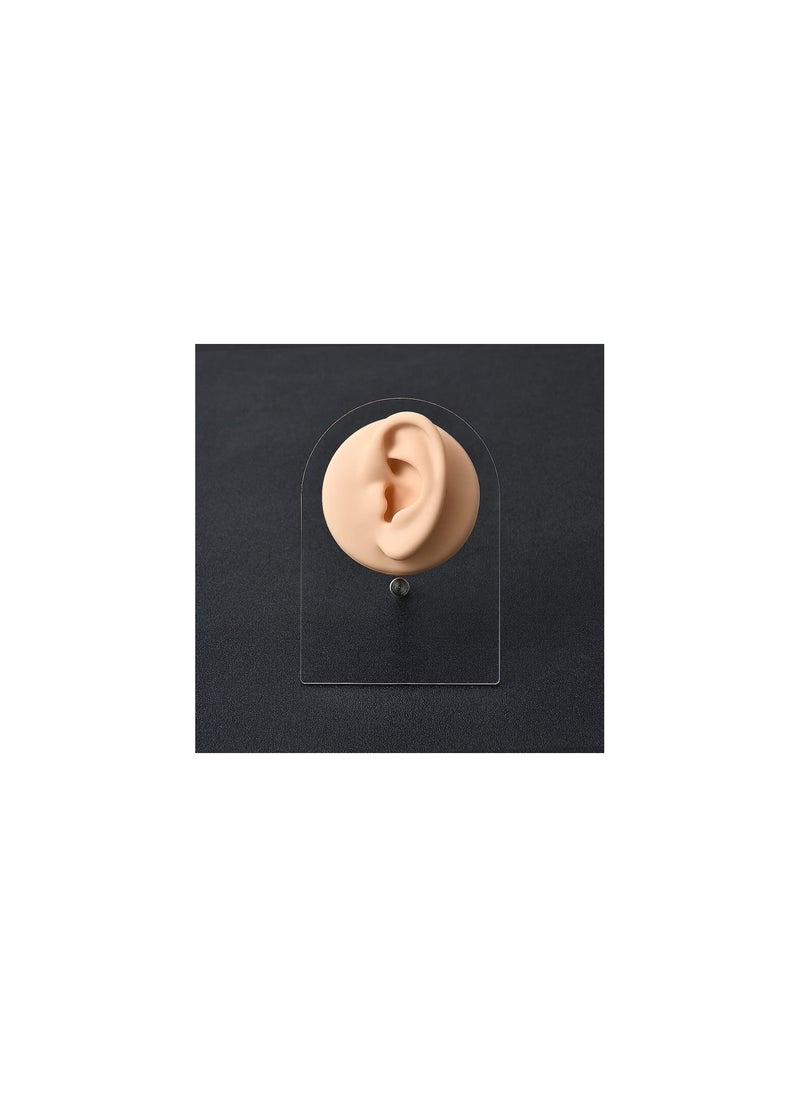 Simulation Ear Model - Soft Silicone Ear Model for Acupuncture - Silicone Artificial Ear Model for Ear Picking Practice