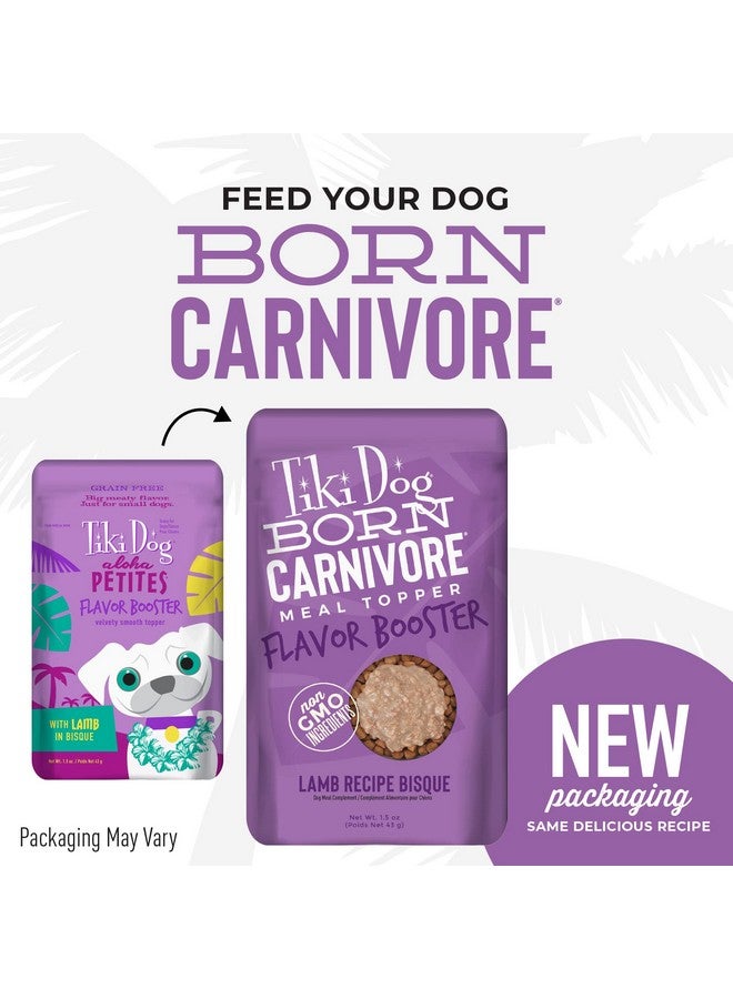 Tiki Dog Born Carnivore Flavor Booster, Lamb Recipe Bisque, Grain Free Meat Based Treat, Meal Topper For All Dog Breeds And All Life Stages, 1.5 Oz, Pack Of 12 - Image 2