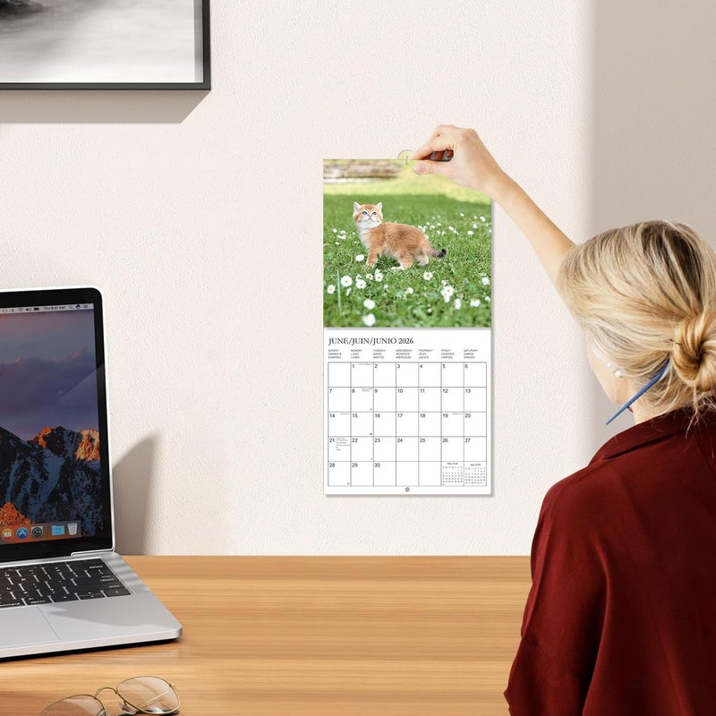 Tuun Fuplan Calendar 2026 - Wall Calendar from January 2026 to December 2026, 3 Languages(English,French,Spanish), 2026 Hanging Calendar with Holiday Marked, Premium Paper for Organizing, 7'' x 7'', Cat - Image 5