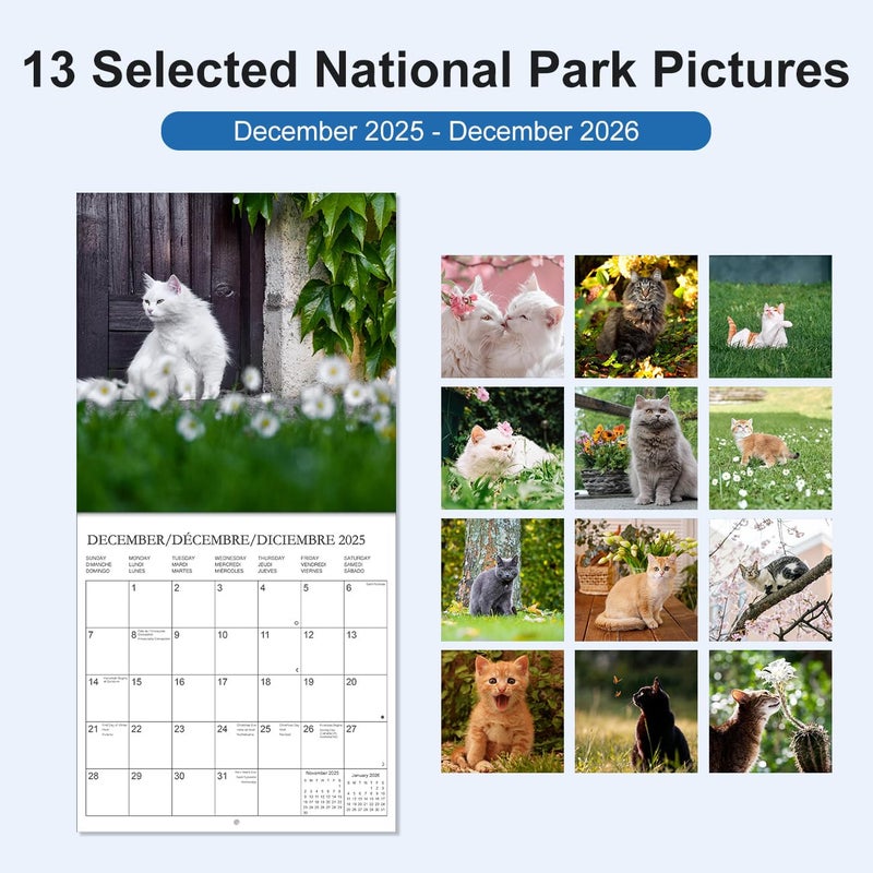Tuun Fuplan Calendar 2026 - Wall Calendar from January 2026 to December 2026, 3 Languages(English,French,Spanish), 2026 Hanging Calendar with Holiday Marked, Premium Paper for Organizing, 7'' x 7'', Cat - Image 2