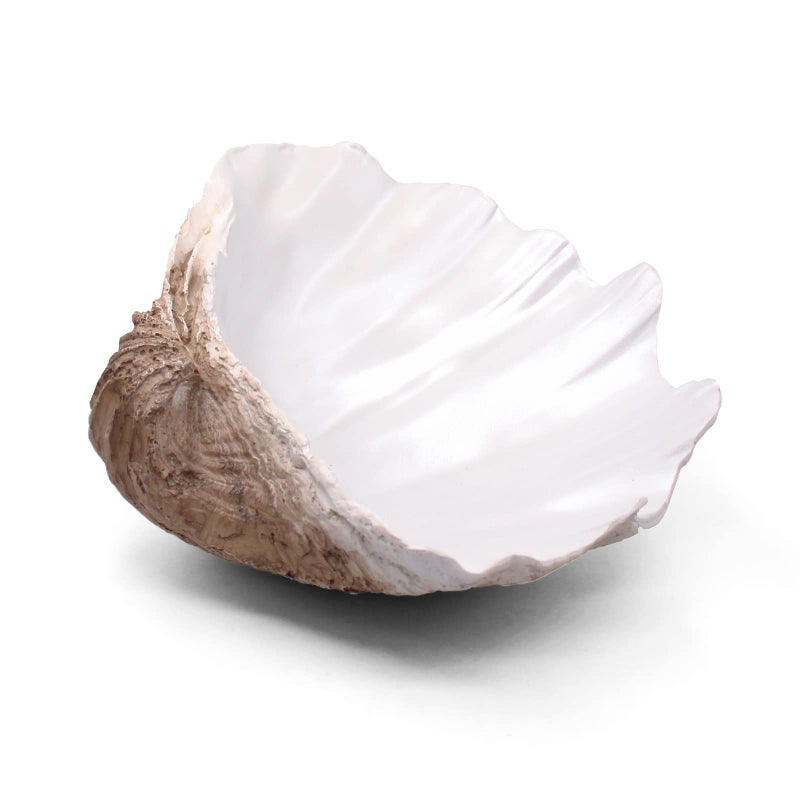 Large EarthTanWhite Sea Shells Decorative Bowl Resin Clam Shell Bowl Beach Decorations for Home Coastal Beach Decor Decoration Storage Bowls  Home Office Nautical Themed Party Decor 1021PC