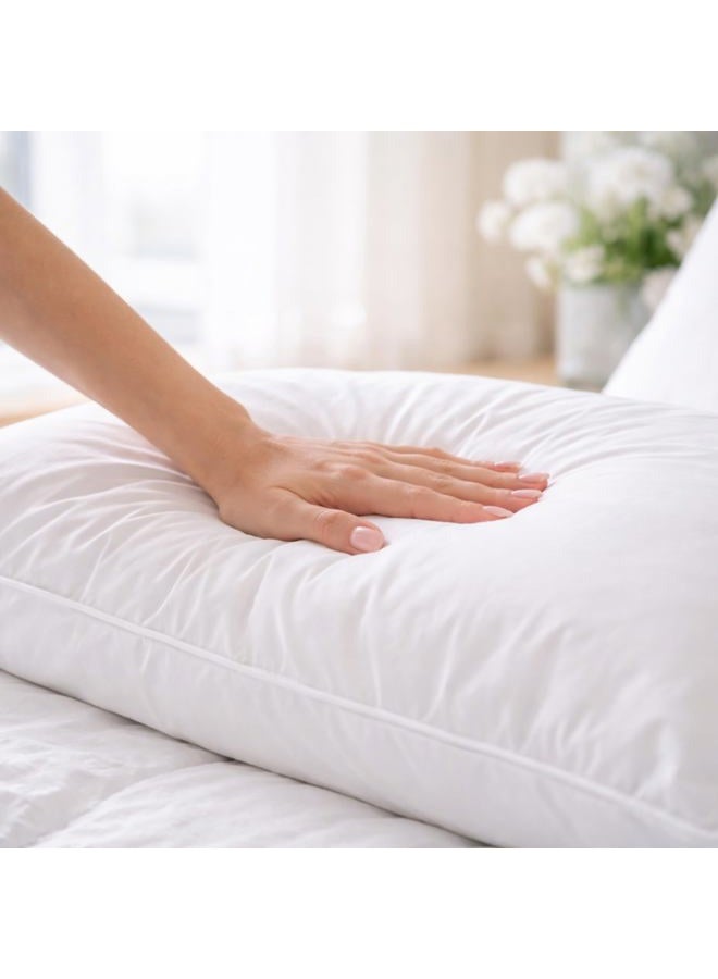 Continental Bedding Luxury Down Pillows Standard Size Pack of 1 - Family Made in New York - Breathable Bed Pillows for Sleeping, Back, Side, Stomach Sleepers – 550 FP Soft, Moderate Softness and Loft - Image 2
