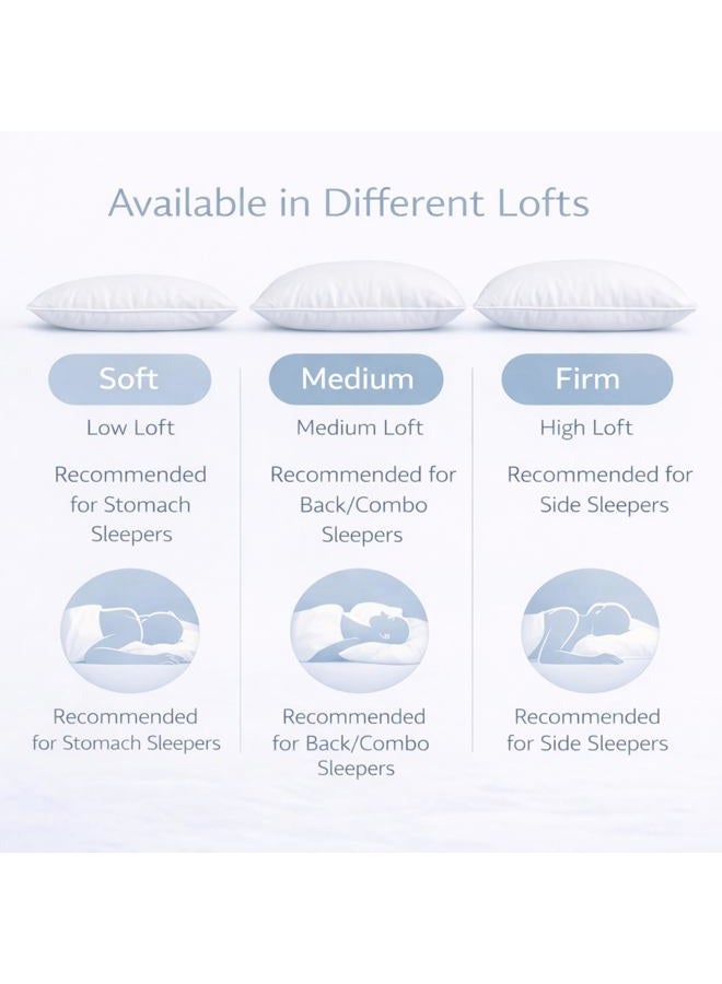 Continental Bedding Luxury Down Pillows Standard Size Pack of 1 - Family Made in New York - Breathable Bed Pillows for Sleeping, Back, Side, Stomach Sleepers – 550 FP Soft, Moderate Softness and Loft - Image 5
