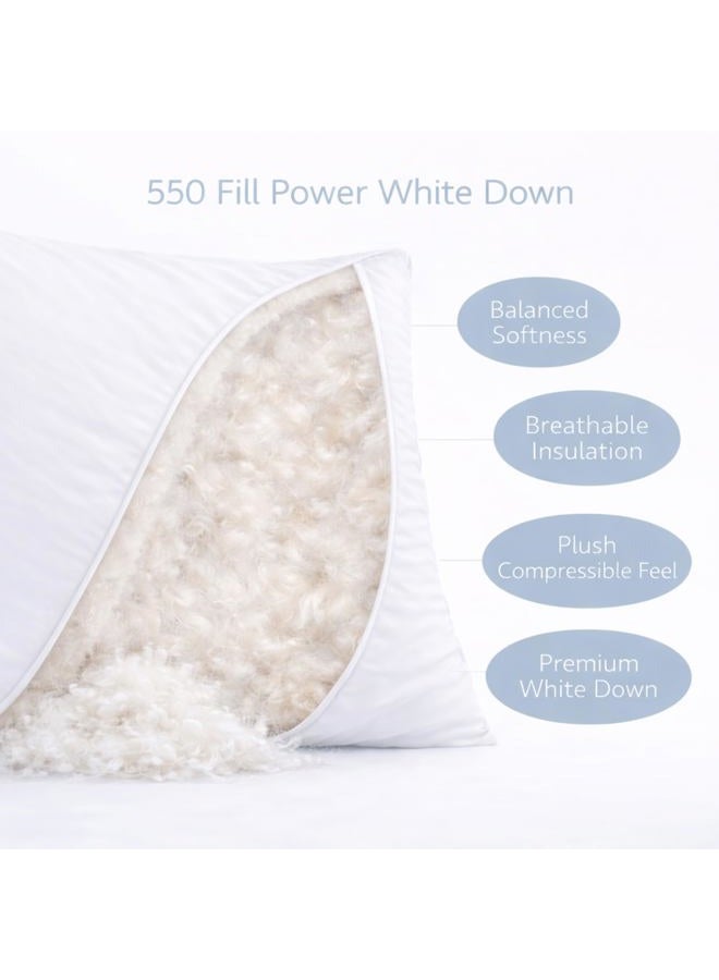 Continental Bedding Luxury Down Pillows Standard Size Pack of 1 - Family Made in New York - Breathable Bed Pillows for Sleeping, Back, Side, Stomach Sleepers – 550 FP Soft, Moderate Softness and Loft - Image 3