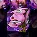Froggod Moss Skull DND Dice Set 7Pcs Sharp Edge DD Dice with Gift Box for for Dungeons and Dragons Resin D and D Role Playing Dice D20 D12 D10 D8 D6 D4 Purple - Image 2
