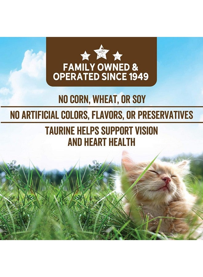 Evolve Grain Free Ocean Whitefish and Egg Cat Food - Image 4