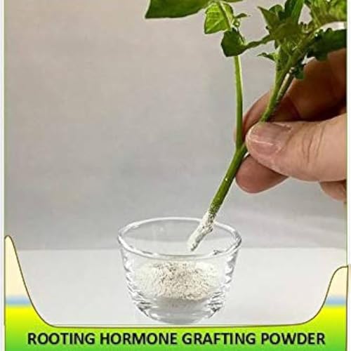 Petalzone Rootex | Fast Root Dry Powder Rooting Hormone for All Plants Grow Nutritions | Pack of 1 | 30 gram (ROOTEX NO.1) - Image 5