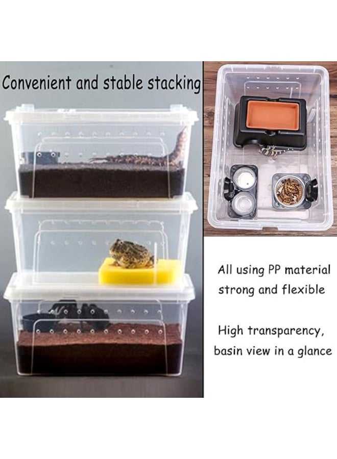 HUANXIN HOME 2PCS Small reptile breeding box, suitable for reptiles, small snakes, spiders, geckos, frogs, breeding boxes, breeding containers, reptile cans, glass containers - Image 5