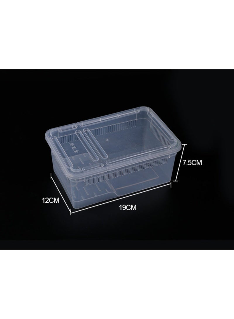 HUANXIN HOME 2PCS Small reptile breeding box, suitable for reptiles, small snakes, spiders, geckos, frogs, breeding boxes, breeding containers, reptile cans, glass containers - Image 2