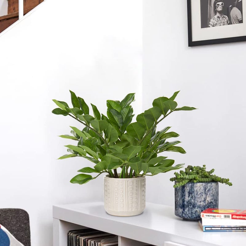 Briful Faux Plants Indoor 17" Artificial ZZ Plants in Ceramic Pot Fake Potted Zamioculcas Silk Plants for Home Table Decor Bedroom Aesthetic (1Pack) - Image 4