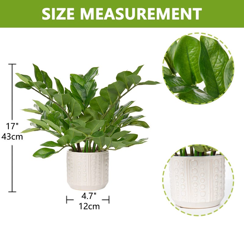 Briful Faux Plants Indoor 17" Artificial ZZ Plants in Ceramic Pot Fake Potted Zamioculcas Silk Plants for Home Table Decor Bedroom Aesthetic (1Pack) - Image 2