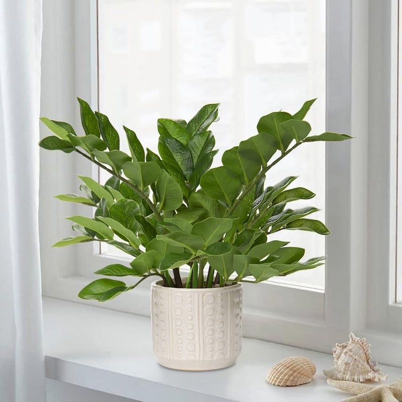 Briful Faux Plants Indoor 17" Artificial ZZ Plants in Ceramic Pot Fake Potted Zamioculcas Silk Plants for Home Table Decor Bedroom Aesthetic (1Pack) - Image 5