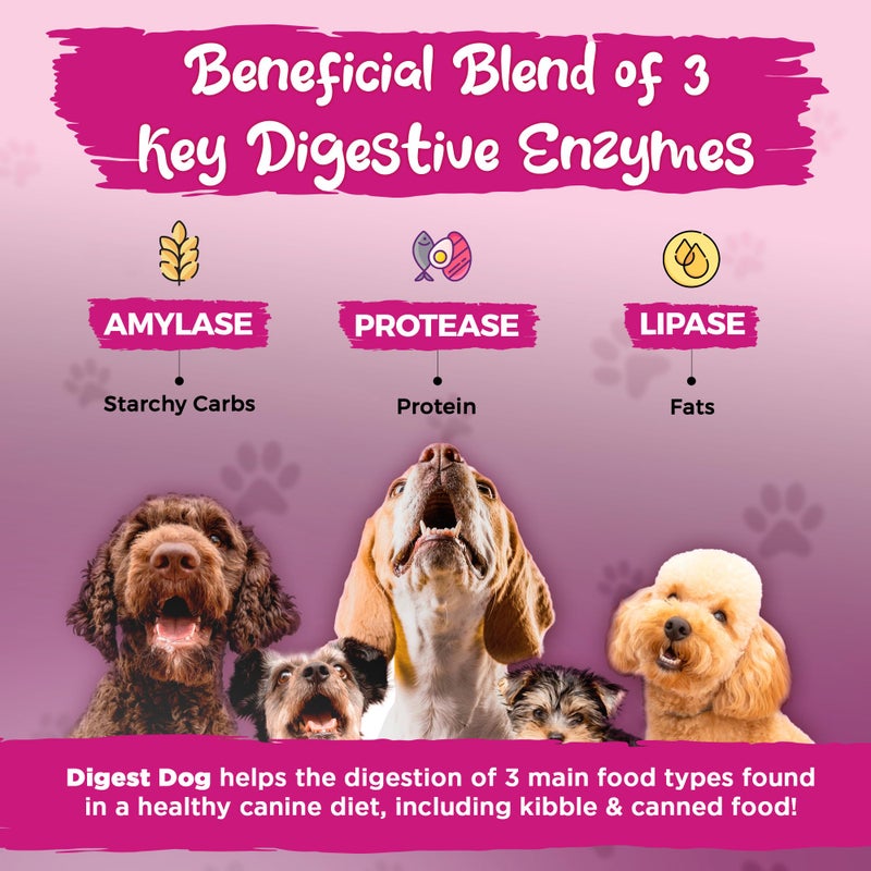 Vital Planet - Digest Dog Digestive Pancreatic Enzyme Blend with Pumpkin and Fennel to Support The Pancreas and Healthy Digestion with Pancreatin, Beef Flavored Powder for Dogs - 111 Grams 30 Scoops - Image 5