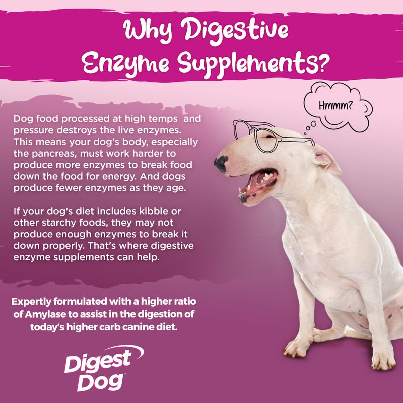 Vital Planet - Digest Dog Digestive Pancreatic Enzyme Blend with Pumpkin and Fennel to Support The Pancreas and Healthy Digestion with Pancreatin, Beef Flavored Powder for Dogs - 111 Grams 30 Scoops - Image 3