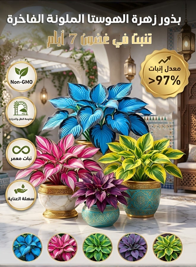 Mixed Hosta Seeds 1000 Pcs Purple Red Ornamental Leaves Cold Resistant Easy Grow Garden Balcony Decor Flowers - Image 2