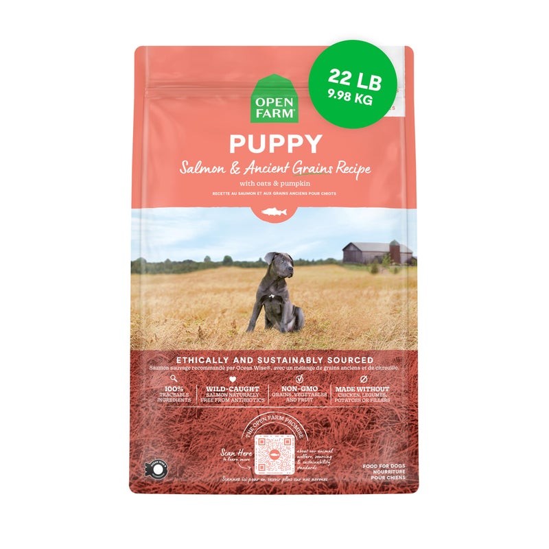 Open Farm, Ancient Grains Dry Dog Food for Puppies, Protein-Rich & Nutrient Dense, 90% Animal Protein Mixed with Non-GMO Fruits, Veggies and Superfoods, Salmon Recipe for Puppy, 22lb Bag - Image 1