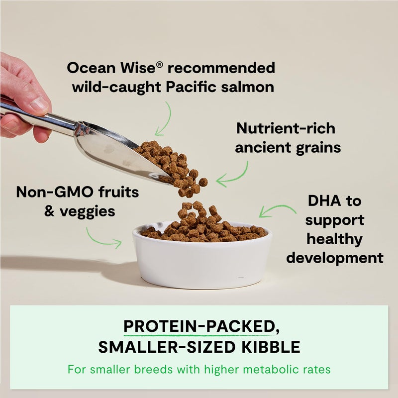 Open Farm, Ancient Grains Dry Dog Food for Puppies, Protein-Rich & Nutrient Dense, 90% Animal Protein Mixed with Non-GMO Fruits, Veggies and Superfoods, Salmon Recipe for Puppy, 22lb Bag - Image 2