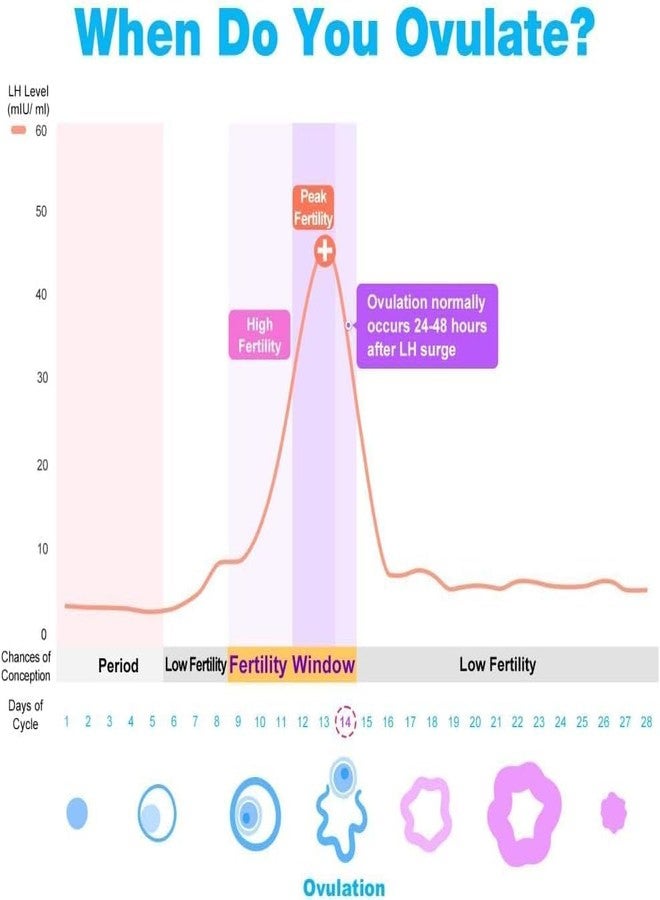إيزي آت هوم مجموعة اختبار التبويض Easy@Home: اختبار دقيق للخصوبة للنساء (عرض 5 مم)، شرائط اختبار لمراقبة الخصوبة، 50 شريطًا لقياس هرمون LH مع 50 كوبًا لجمع البول - Image 5