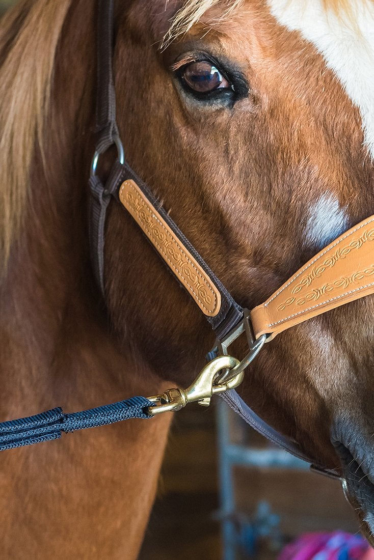 Intrepid International Tie Safe Adjustable Cross Tie, Nylon Horse Crossties for Horses, Stall Accessories, Attach to Halter, Brass Panic Snap, for Stall, Trailer Accessories, 48-62" - Image 2