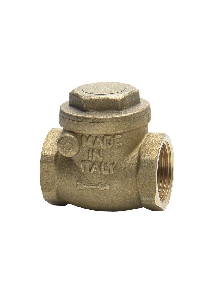 Generic - Bronze Check Valve 1-1/4'' (VIR) - Image 1