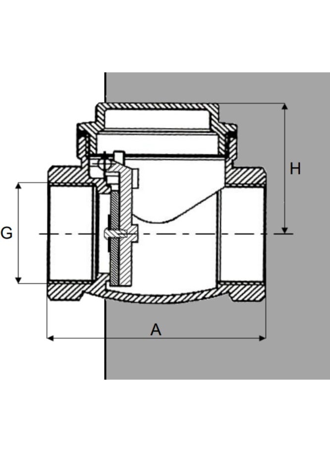 Generic - Bronze Check Valve 1-1/4'' (VIR) - Image 1