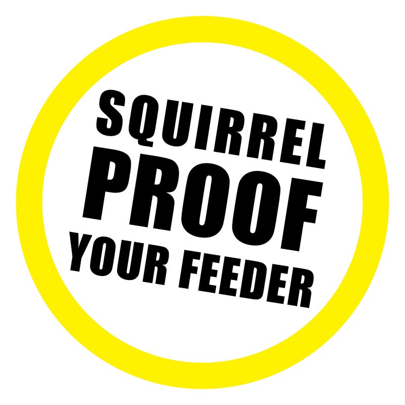 Slinky Scram, Squirrel by Slinky, Squirrel-Proof Bird Feeder Accessory that Guards Bird Seed, Kids Toys for Ages 5 Up by Just Play - Image 2