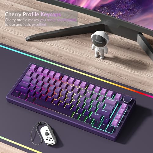Womier Shine Through PBT Keycaps 60 75 100 Percent Cherry Profile, Custom Key Cap Doubleshot Keycaps Set, Universal Compatiability for Cherry Gateron MX Switches Keyboard, Gradient Purple - Image 4