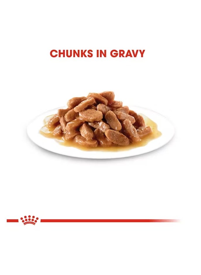 ROYAL CANIN - Royal Canin Feline Health Nutrition Kitten Gravy 12x 85gm Cat Wet Food Pouches - Image 1