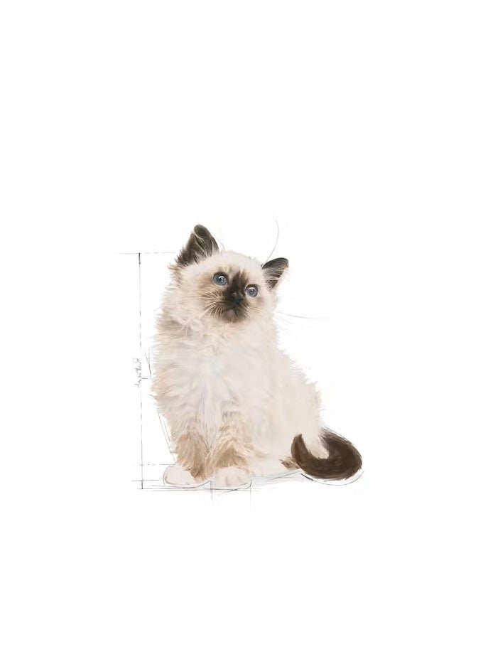 ROYAL CANIN - Royal Canin Feline Health Nutrition Kitten Gravy 12x 85gm Cat Wet Food Pouches - Image 1