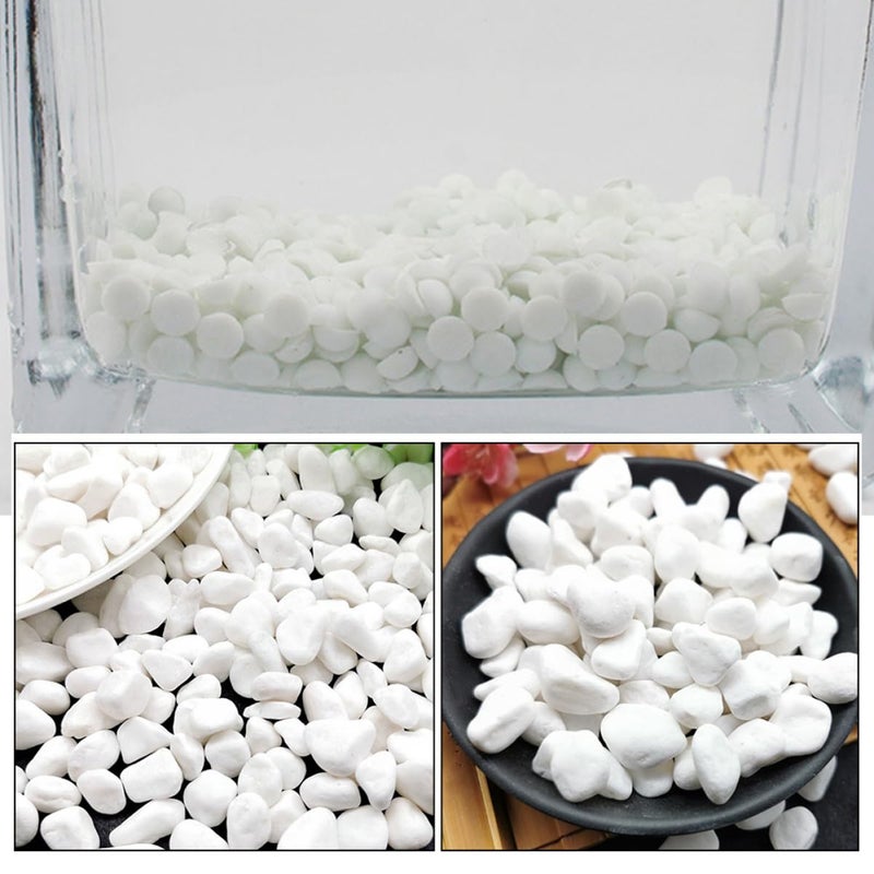 حصى زخرفي لأحواض السمك والحدائق والحرف اليدوية حجر طبيعي حشو المزهرية - Image 5