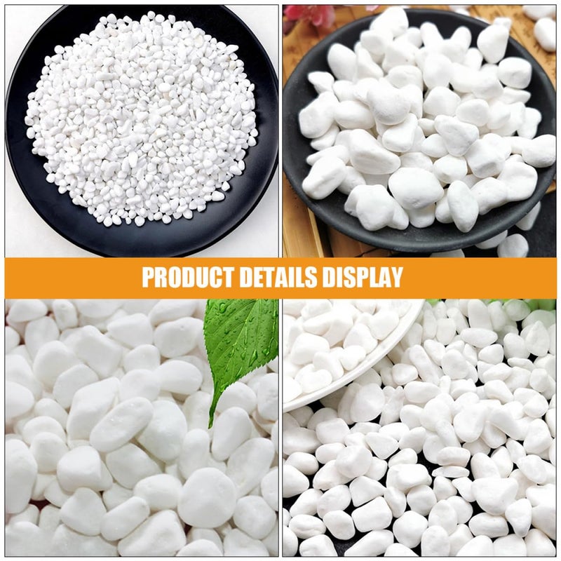 حصى زخرفي لأحواض السمك والحدائق والحرف اليدوية حجر طبيعي حشو المزهرية - Image 4