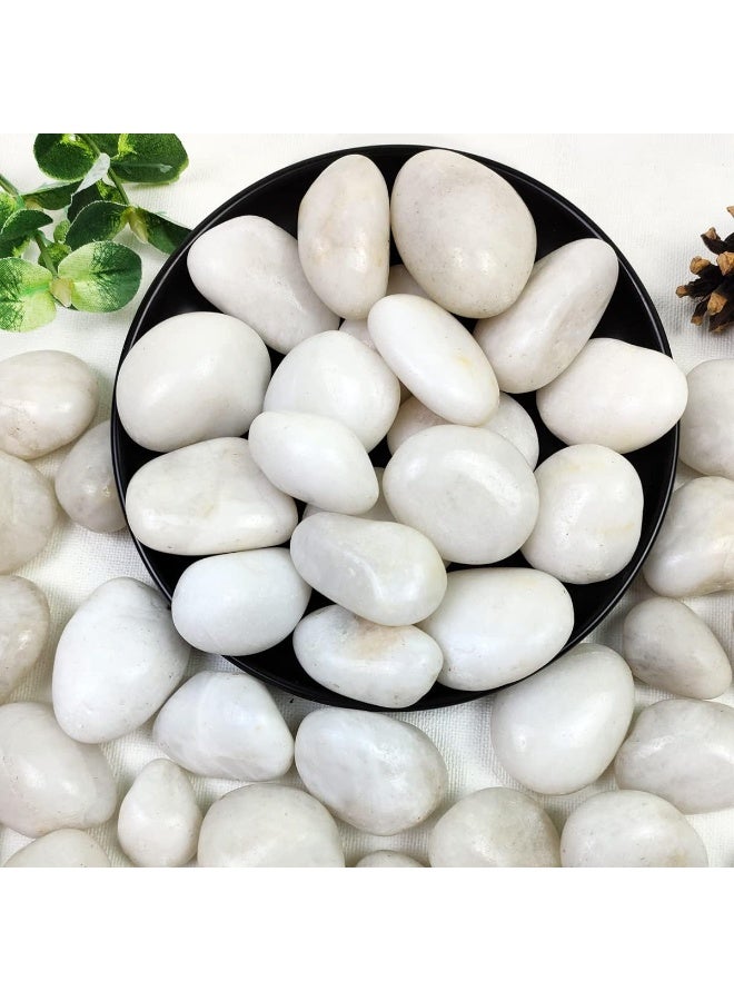 RR BRAND White River Rocks, 1-2 Inch 1.5kg Natural Pebbles for Indoor Plants, High Polished Decorative Stones Vase Filler Fish Tank Aquariums Landscaping Garden Outdoor and Indoor DIY - Image 1