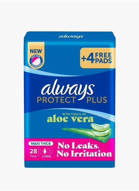 Protect Plus Maxi long 28 Pads