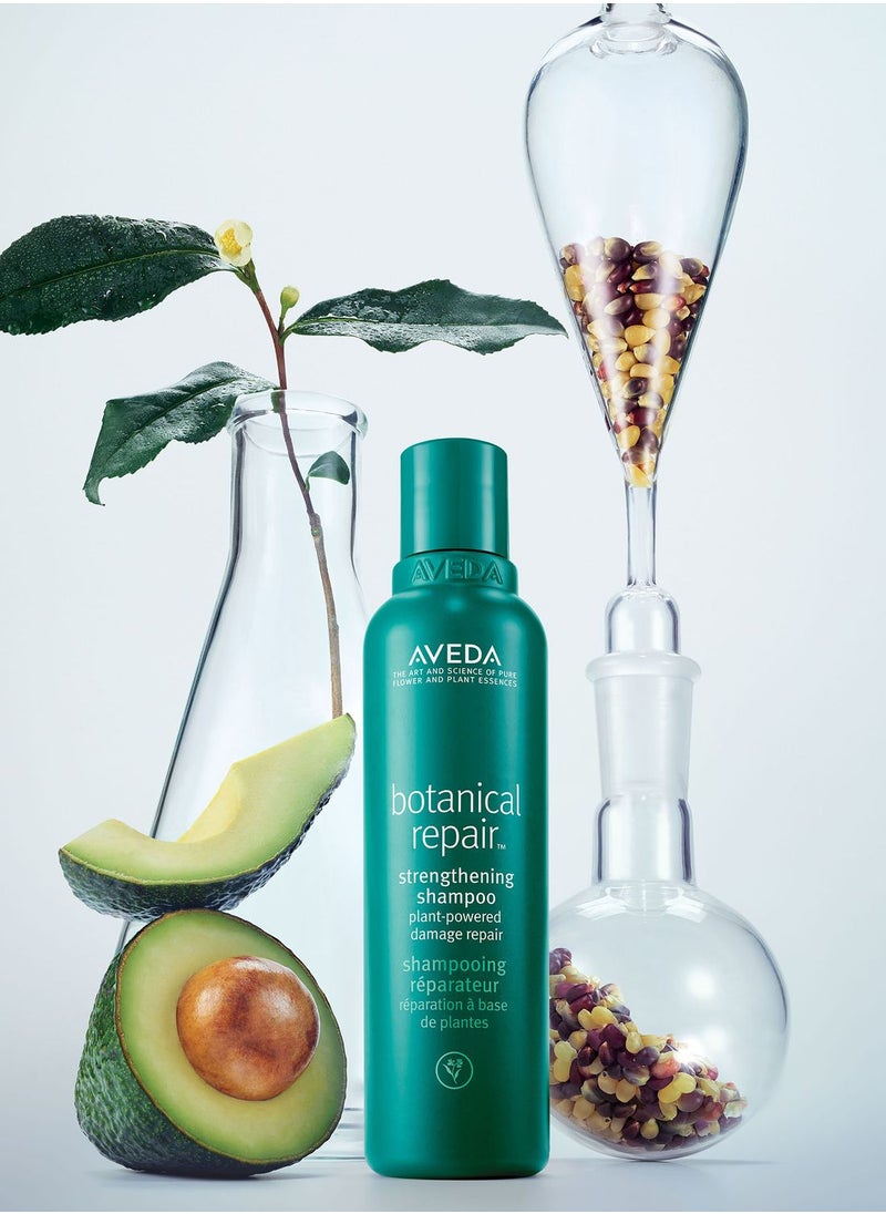 AVEDA - Botanical Repair Strengthening Shampoo 200ml - Image 1