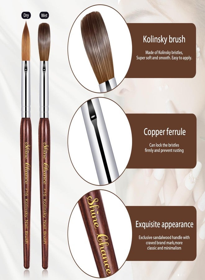 Shine Chance Acrylic Nail Art Brush - Size 16, 100% Pure Kolinsky Hair Oval Nail Brush for Professional Acrylic Application, DIY Home Salon - Image 2