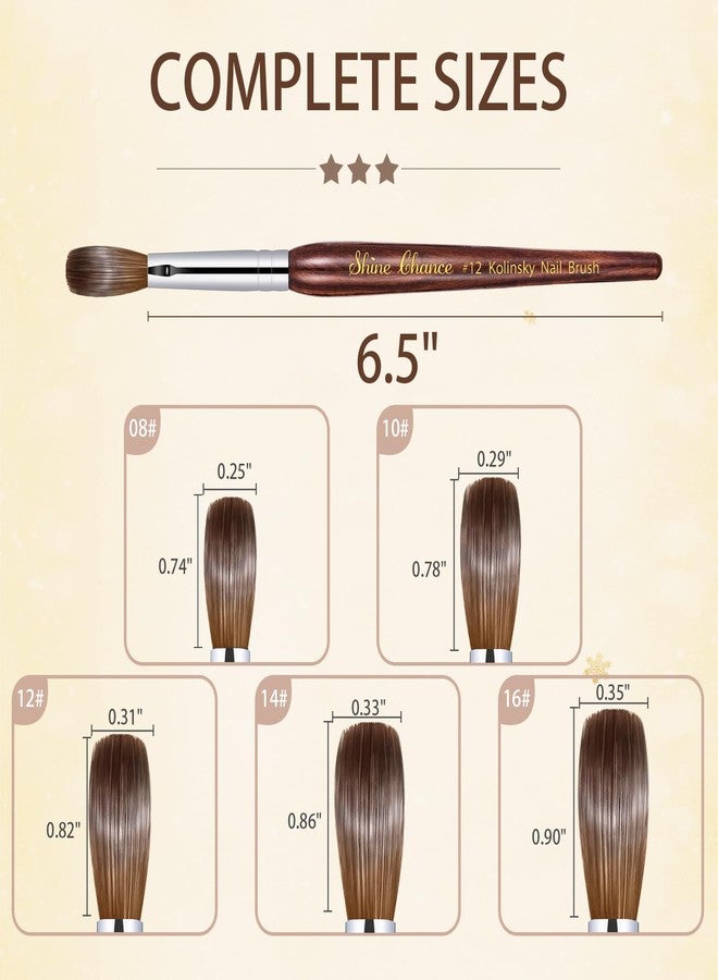 Shine Chance Acrylic Nail Art Brush - Size 16, 100% Pure Kolinsky Hair Oval Nail Brush for Professional Acrylic Application, DIY Home Salon - Image 5