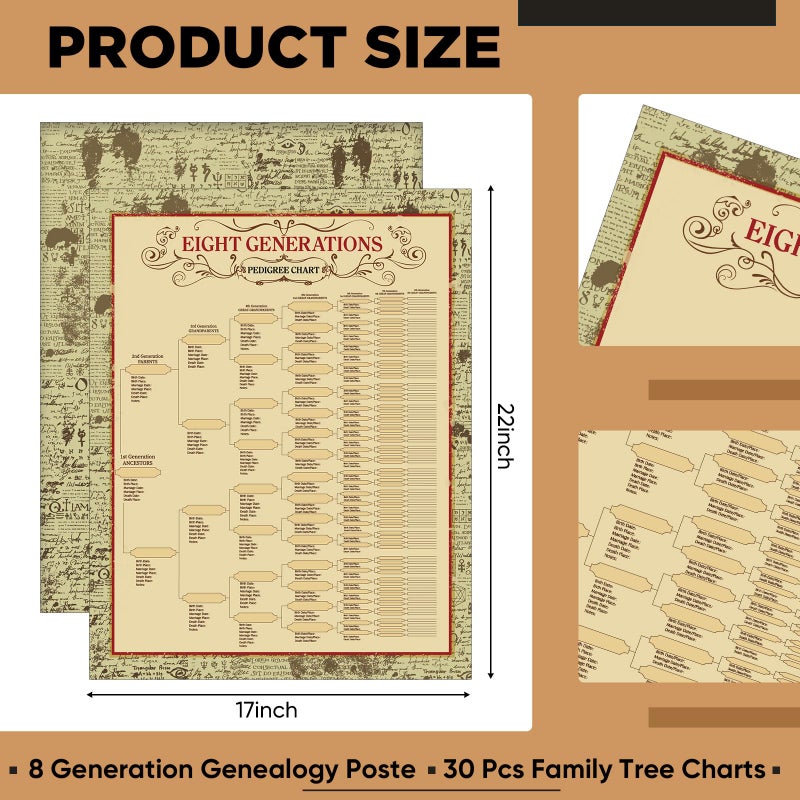 Sinload 30 Pcs Family Tree Charts to Fill in Genealogy Charts 8 Generation 255 Name Spaces Genealogy Organizer Pedigree Charts for Genealogy Ancestry Family History Reunions Lineage, 17 x 22 Inch - Image 3