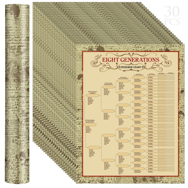 Sinload 30 Pcs Family Tree Charts to Fill in Genealogy Charts 8 Generation 255 Name Spaces Genealogy Organizer Pedigree Charts for Genealogy Ancestry Family History Reunions Lineage, 17 x 22 Inch - Image 1