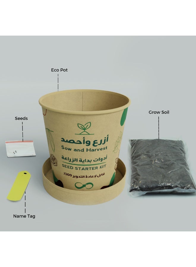 بذرات ازرع واحصد – الزعتر – أدوات زراعية في كوب مع تربة وبذور – زراعة منزلية، مناسبة للتوزيعات المدرسية والأعمال – مصنوعة من مواد معاد تدويرها - Image 4