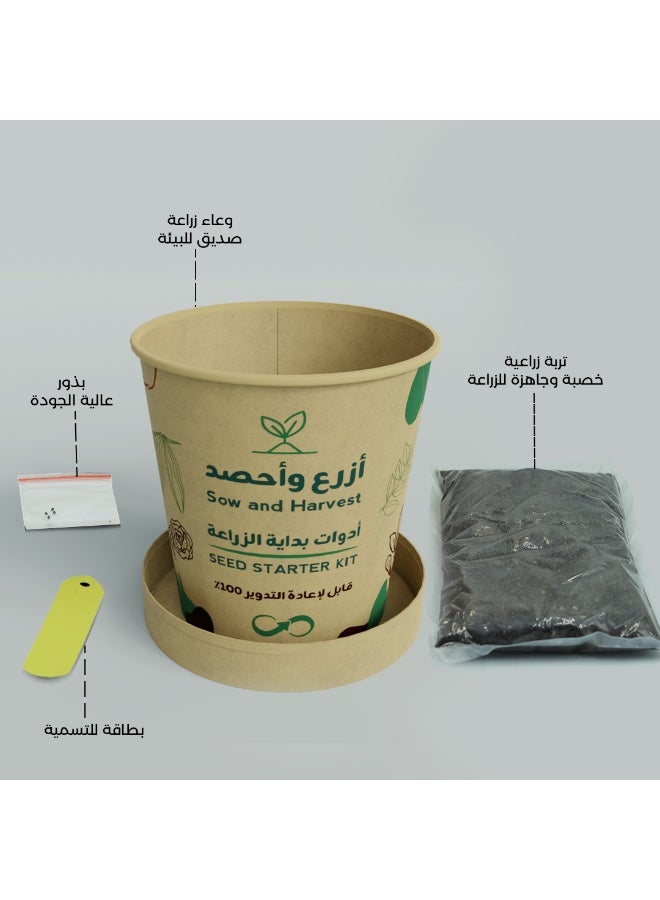 بذرات ازرع واحصد – الزعتر – أدوات زراعية في كوب مع تربة وبذور – زراعة منزلية، مناسبة للتوزيعات المدرسية والأعمال – مصنوعة من مواد معاد تدويرها - Image 5