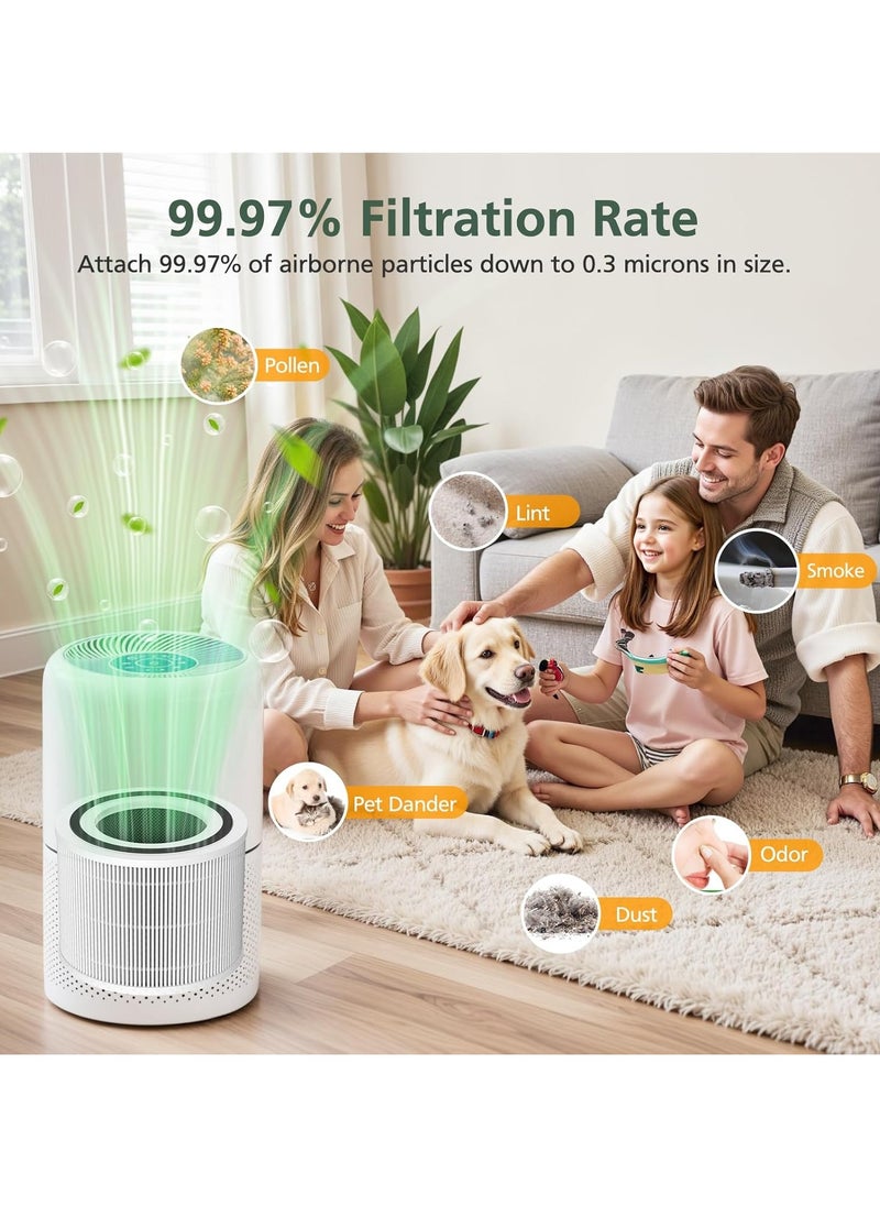 Neox - 2 Pack Replacement Filter Compatible with  Core 300 and Core 300S Air Purifier, 3-in-1 H13 True HEPA Filter and Activated Carbon - Compared to Part # Core 300-RF, - Image 1