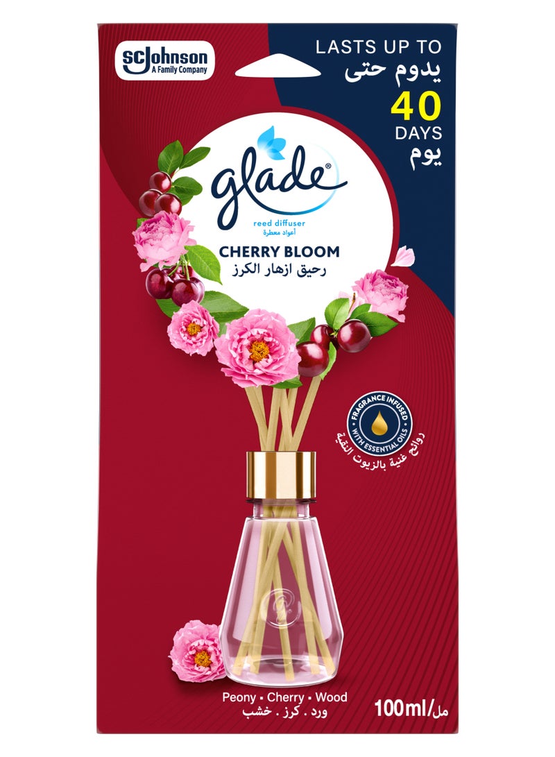 Reeds Peony n Cherry 100ML 6 MENA