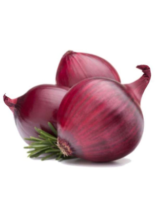 Onion Nasik Red  Desi Vegetable Seeds