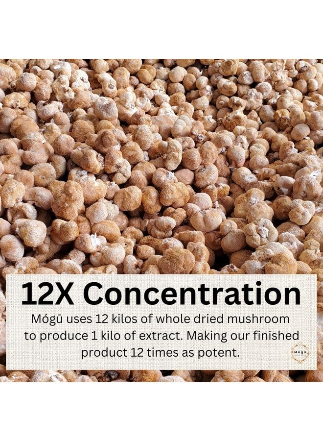 Neuro Fuel - Memory, Focus, Cognition. 12x Concentrated High Strength Pure Organic Lion's Mane, 12:1 Dual Extract, 100% Fruiting Bodies - 125 Grams - 4.41 Oz - Image 4