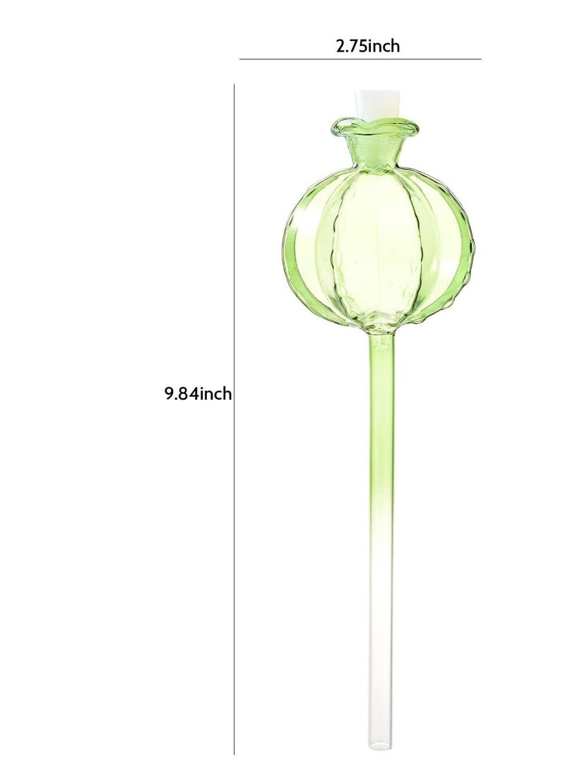 Self Watering Planter Insert Plant Devices Cactus Bulbs Automatic Plants Globes for Indoor and Outdoor Accessories 3 Pack