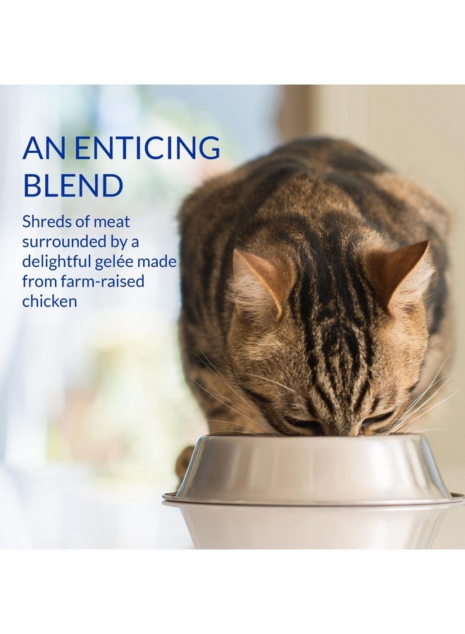 INABA Churu Stew for Cats, Broth Gelée with Shredded Chicken Side Dish with Vitamin E, 1 Ounce per Pouch, 15 Pouches Total, Chicken & Tuna Variety Pack - Image 5