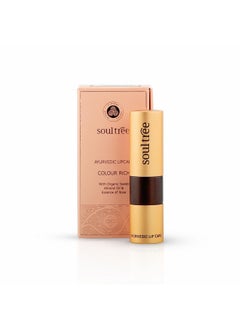 Ayurvedic Lipstick - Cantaloupe 817, 4Gm | Creamy Texture | Enriched With Organic Ghee & Almond Oil | Moistured & Nourished Lips | 4Gm - pzsku/Z247DEBEE96946DEFA453Z/45/_/1735566760/36578568-1e4a-410f-ac4d-45c688c6770c