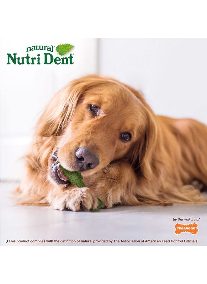 Nylabone Nutri Dent Dog Dental Treats - Natural Dog Teeth Cleaning & Breath Freshener - Dental Treats for Dogs - Fresh Breath Flavor, Large (20 Count)  - Image 4