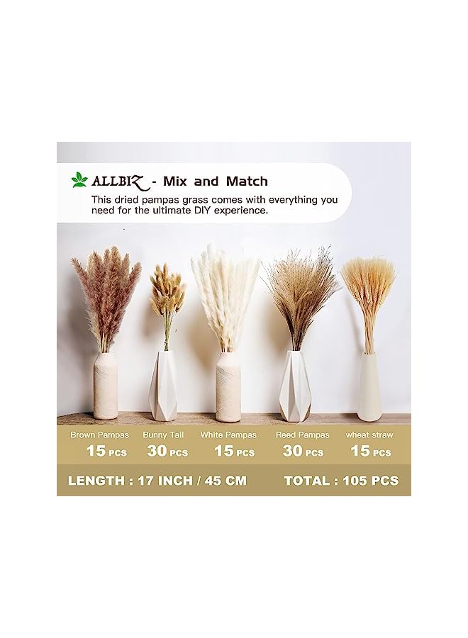 The Bros 105Pcs Natural Pampas Grass Decor, 17in/45cm Dried Flowers for Decoration, Artificial Flower Bouquet for Home Boho Table Decor Accessories, Bohemian Decoration Items for Living Room, Wedding - Image 3